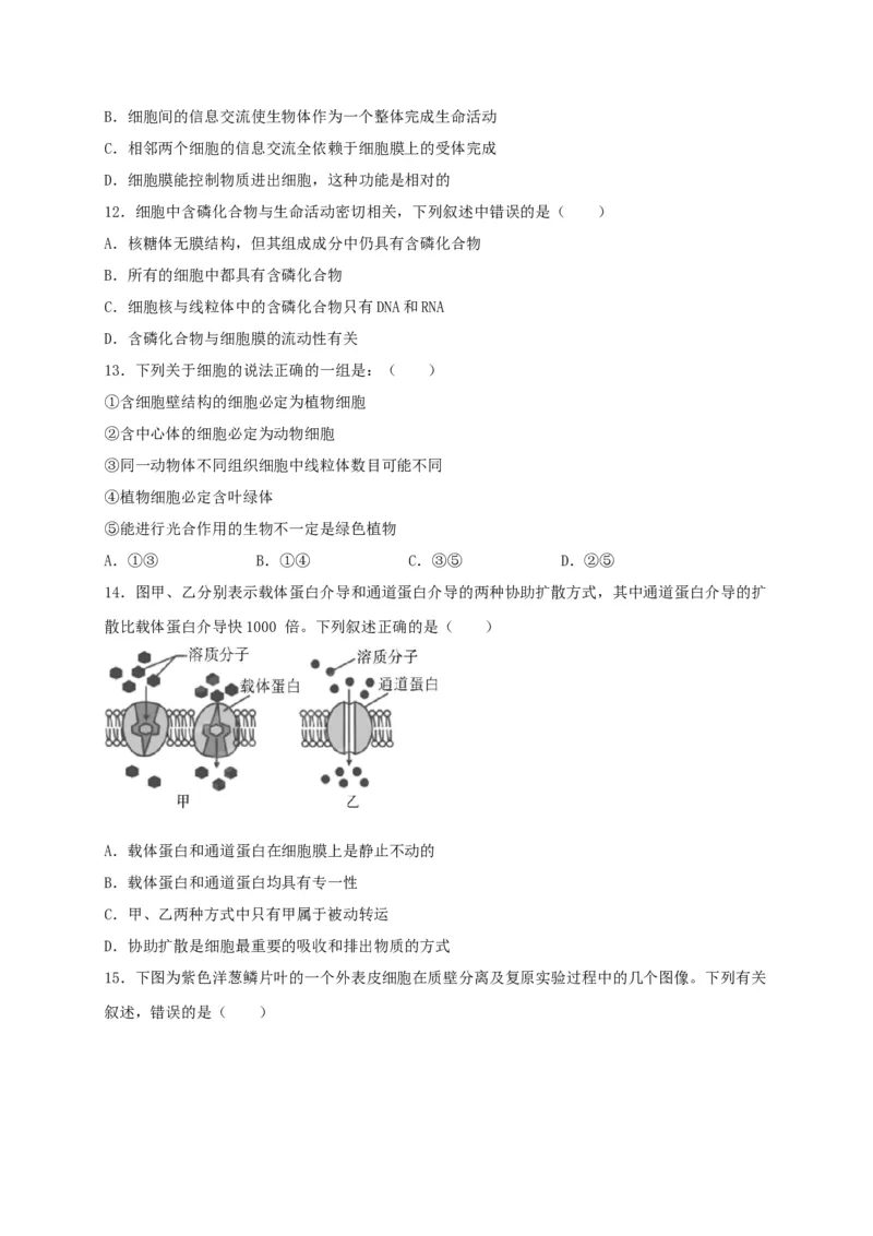 高一生物上学期期末测试卷01（人教版必修1）（原卷版）_高中九科知识点归纳。_人教版高中Word电子版试卷练习试题知识点全科_高中生物试卷习题_生物必修_必修1_1.模拟题