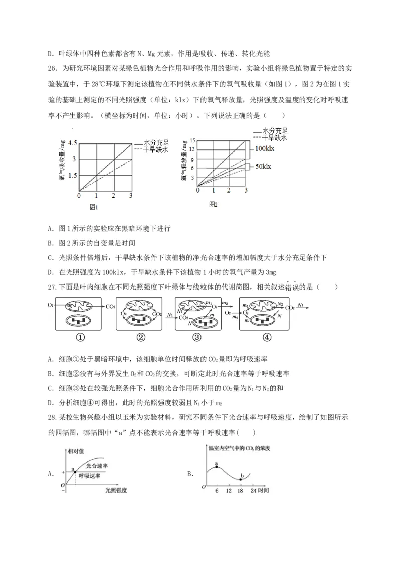 高一生物上学期期末测试卷01（人教版必修1）（原卷版）_高中九科知识点归纳。_人教版高中Word电子版试卷练习试题知识点全科_高中生物试卷习题_生物必修_必修1_1.模拟题