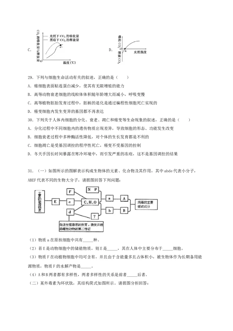高一生物上学期期末测试卷01（人教版必修1）（原卷版）_高中九科知识点归纳。_人教版高中Word电子版试卷练习试题知识点全科_高中生物试卷习题_生物必修_必修1_1.模拟题