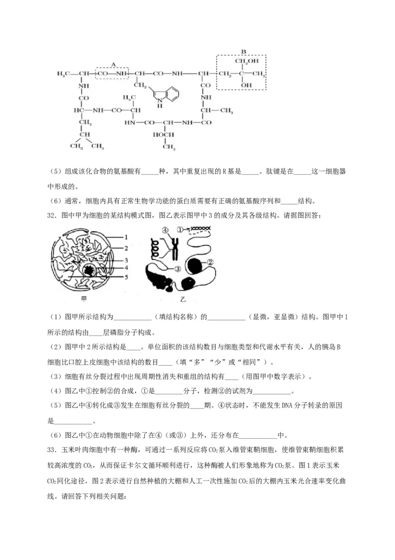高一生物上学期期末测试卷01（人教版必修1）（原卷版）_高中九科知识点归纳。_人教版高中Word电子版试卷练习试题知识点全科_高中生物试卷习题_生物必修_必修1_1.模拟题