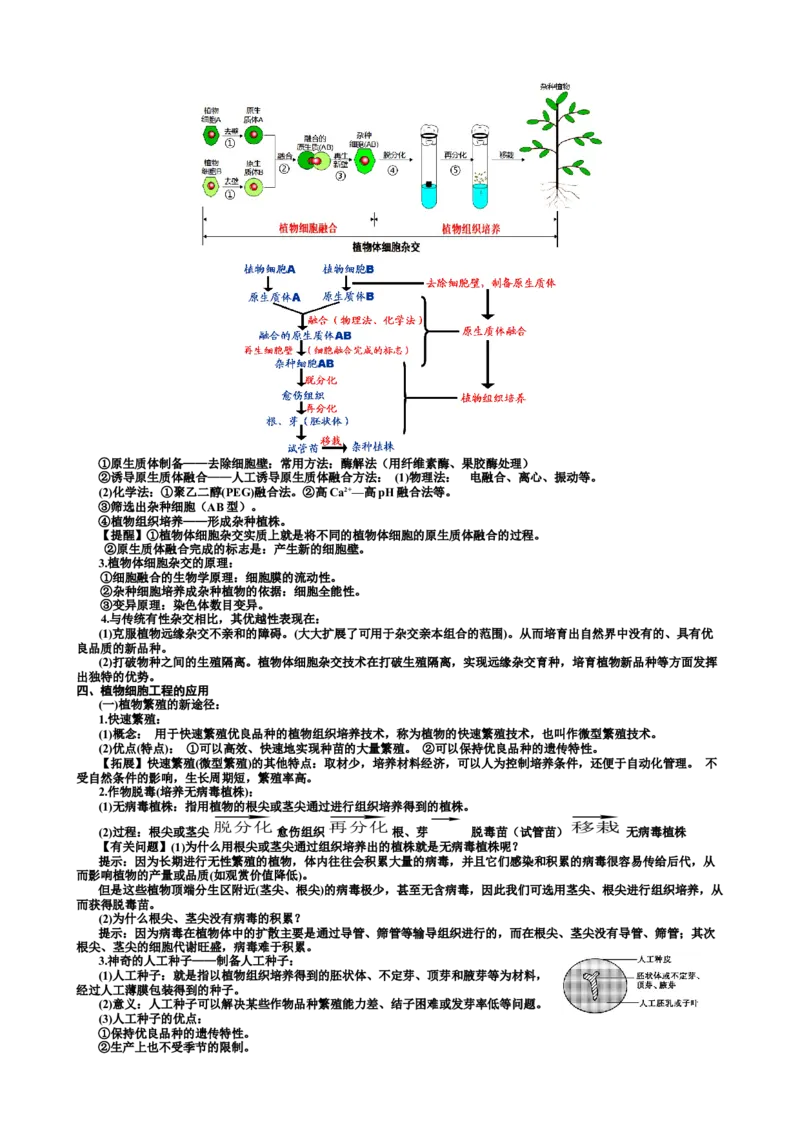 选择性必修3知识总结高二下学期生物人教版选择性必修3_高中九科知识点归纳。_人教版高中Word电子版试卷练习试题知识点全科_高中生物试卷习题_生物选修_选修3