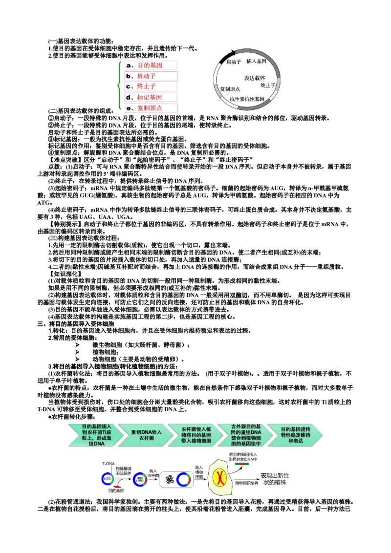 选择性必修3知识总结高二下学期生物人教版选择性必修3_高中九科知识点归纳。_人教版高中Word电子版试卷练习试题知识点全科_高中生物试卷习题_生物选修_选修3