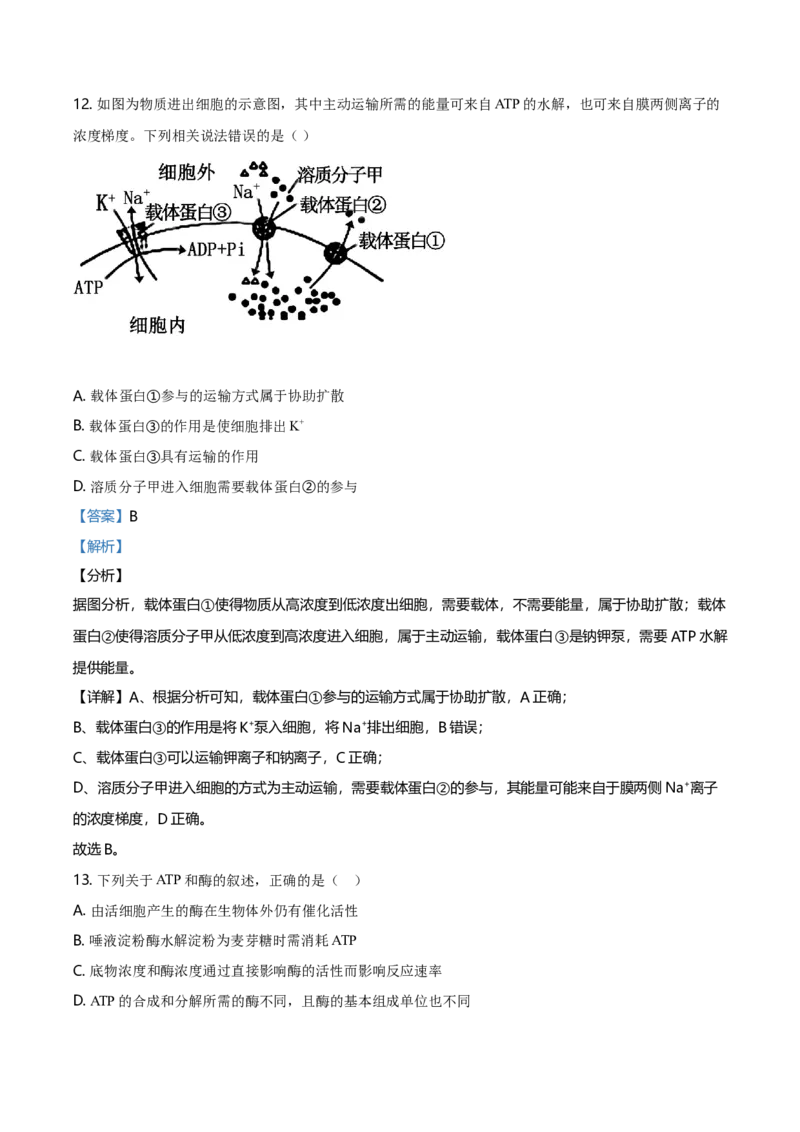 精品解析：吉林省松原市乾安县七中高一上学期期末生物试题（解析版）_高中九科知识点归纳。_人教版高中Word电子版试卷练习试题知识点全科_高中生物试卷习题_生物必修_必修1