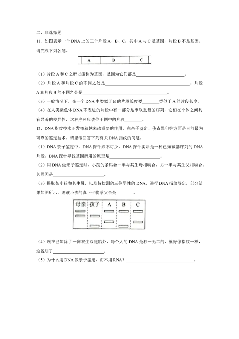 新教材精创3.4基因通常是有遗传效应的DNA片段练习（2）（原卷版）_高中九科知识点归纳。_人教版高中Word电子版试卷练习试题知识点全科_高中生物试卷习题_生物必修_必修2