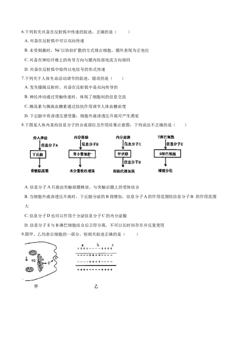 高二生物上学期期末测试卷04（人教版2019选择性必修1）（原卷版）_高中九科知识点归纳。_人教版高中Word电子版试卷练习试题知识点全科_高中生物试卷习题_生物选修_选修1