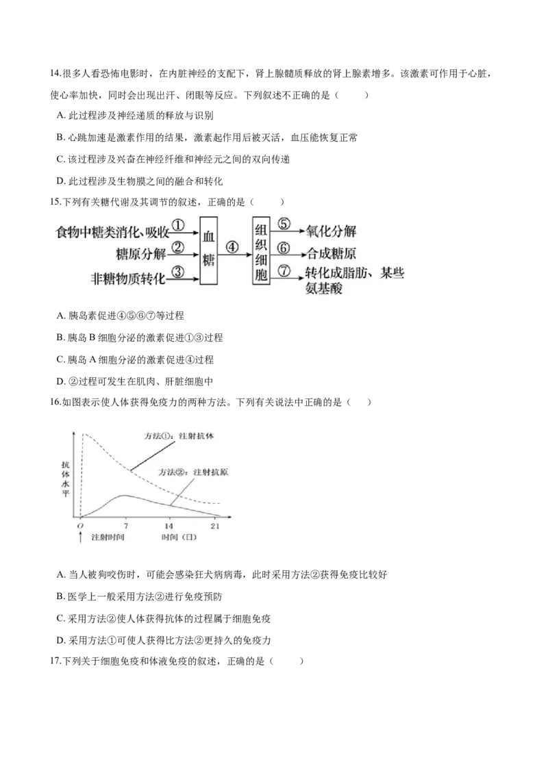 高二生物上学期期末测试卷04（人教版2019选择性必修1）（原卷版）_高中九科知识点归纳。_人教版高中Word电子版试卷练习试题知识点全科_高中生物试卷习题_生物选修_选修1