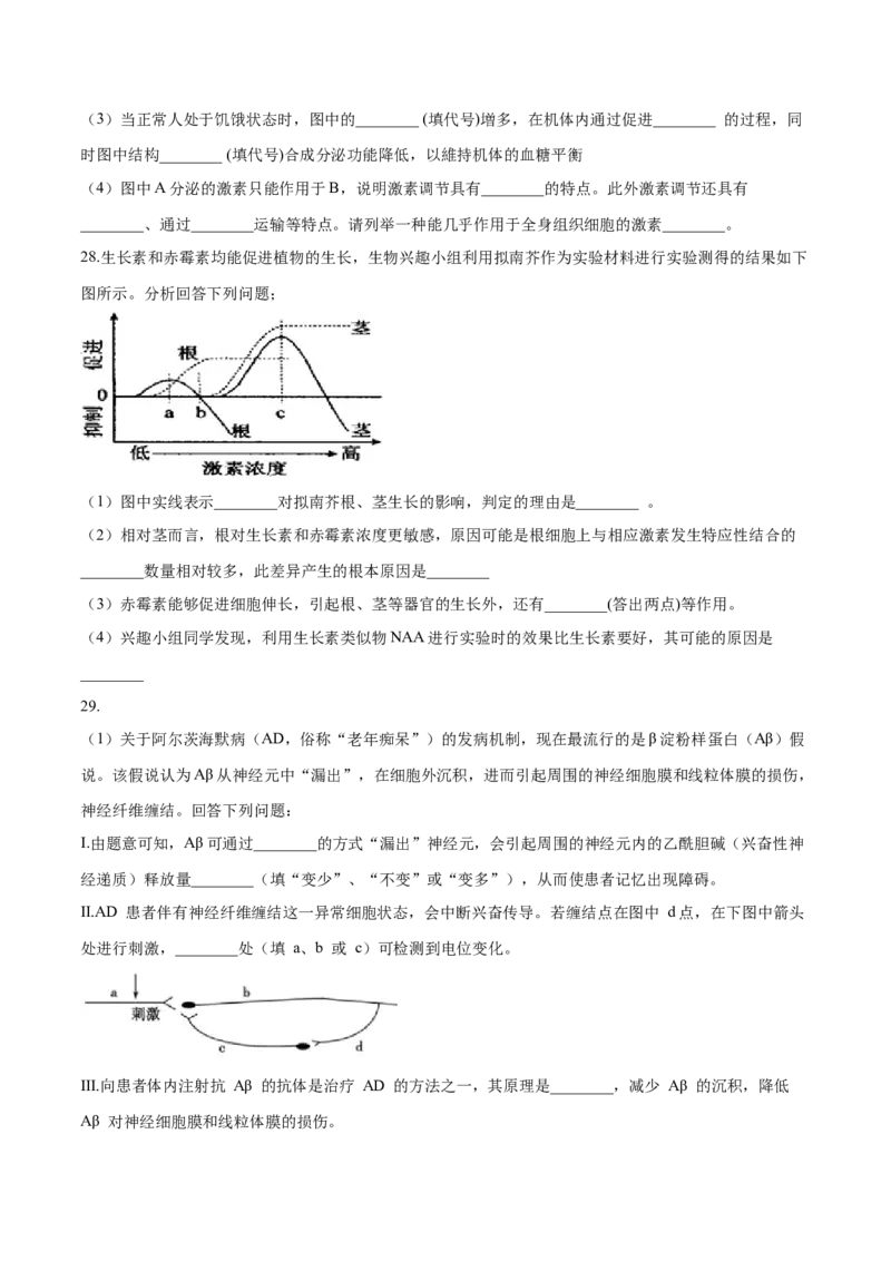高二生物上学期期末测试卷04（人教版2019选择性必修1）（原卷版）_高中九科知识点归纳。_人教版高中Word电子版试卷练习试题知识点全科_高中生物试卷习题_生物选修_选修1