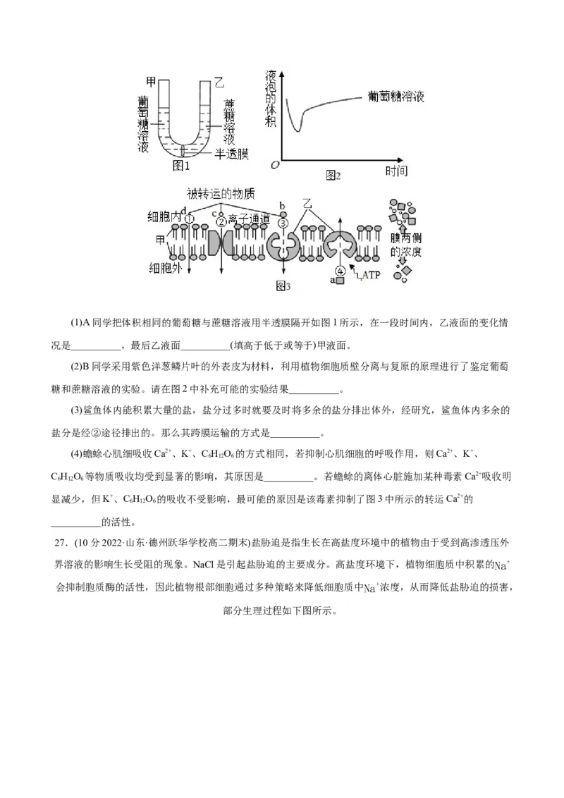 第4章细胞的物质输入和输出（B卷&middot;能力提升练）（原卷版）_高中九科知识点归纳。_人教版高中Word电子版试卷练习试题知识点全科_高中生物试卷习题_生物必修_必修1