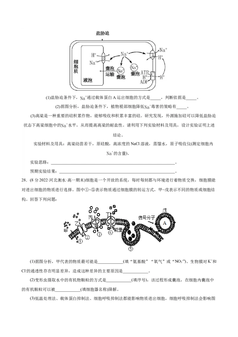 第4章细胞的物质输入和输出（B卷&middot;能力提升练）（原卷版）_高中九科知识点归纳。_人教版高中Word电子版试卷练习试题知识点全科_高中生物试卷习题_生物必修_必修1