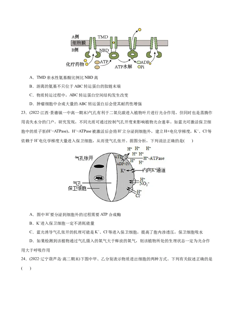 第4章细胞的物质输入和输出（B卷&middot;能力提升练）（原卷版）_高中九科知识点归纳。_人教版高中Word电子版试卷练习试题知识点全科_高中生物试卷习题_生物必修_必修1
