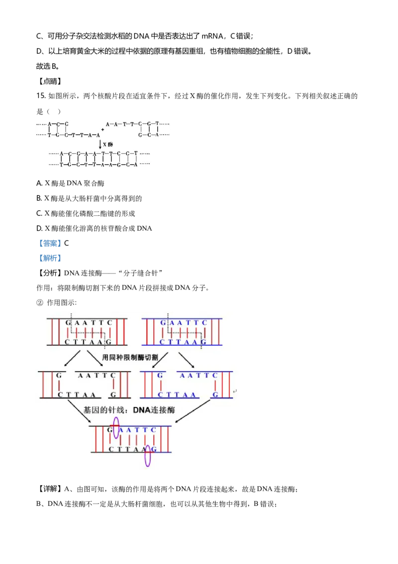 高二下学期期中生物试题（解析版）_高中九科知识点归纳。_人教版高中Word电子版试卷练习试题知识点全科_高中生物试卷习题_生物选修_选修3_人教版生物选修三期中测试（003份）