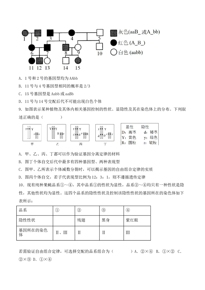 期中检测卷01（基础练）（考试范围：第1~3章）（原卷版）_高中九科知识点归纳。_人教版高中Word电子版试卷练习试题知识点全科_高中生物试卷习题_生物必修_必修2