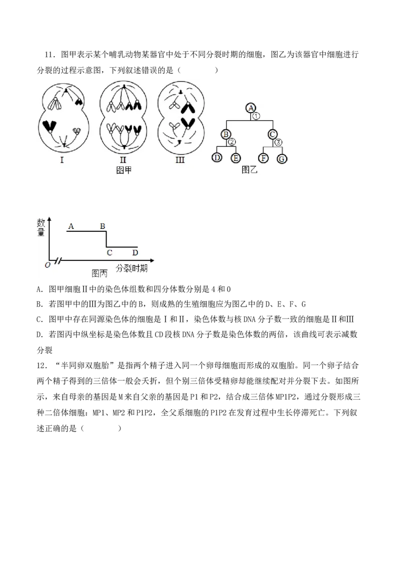 期中检测卷01（基础练）（考试范围：第1~3章）（原卷版）_高中九科知识点归纳。_人教版高中Word电子版试卷练习试题知识点全科_高中生物试卷习题_生物必修_必修2