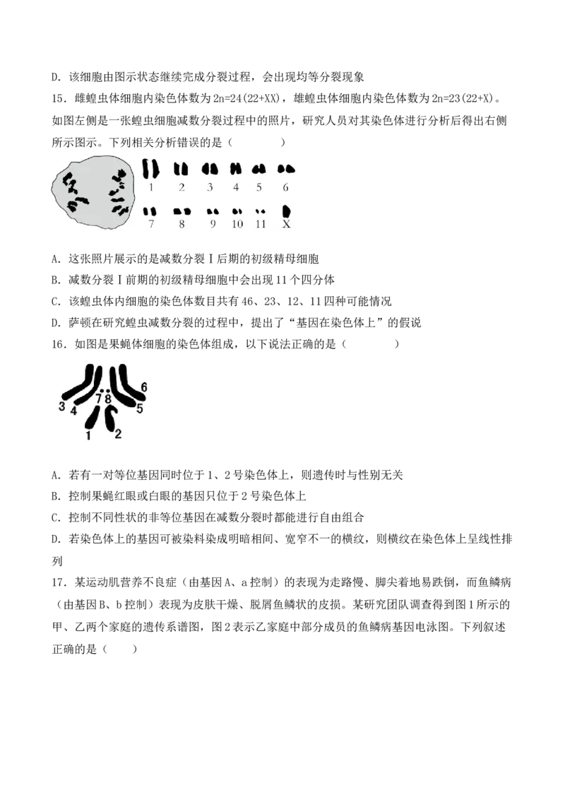 期中检测卷01（基础练）（考试范围：第1~3章）（原卷版）_高中九科知识点归纳。_人教版高中Word电子版试卷练习试题知识点全科_高中生物试卷习题_生物必修_必修2