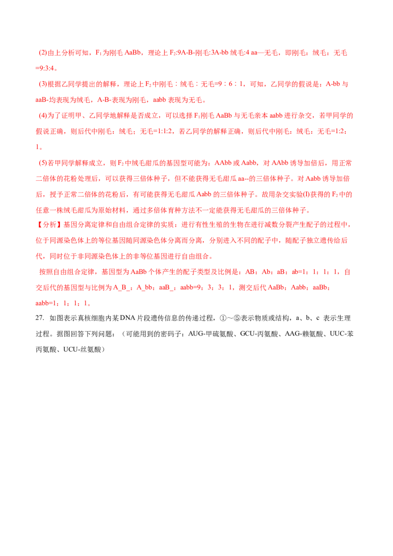高一生物下学期期中测试卷02（人教版2019选择性必修2）（解析版）_高中九科知识点归纳。_人教版高中Word电子版试卷练习试题知识点全科_高中生物试卷习题_生物必修_必修2