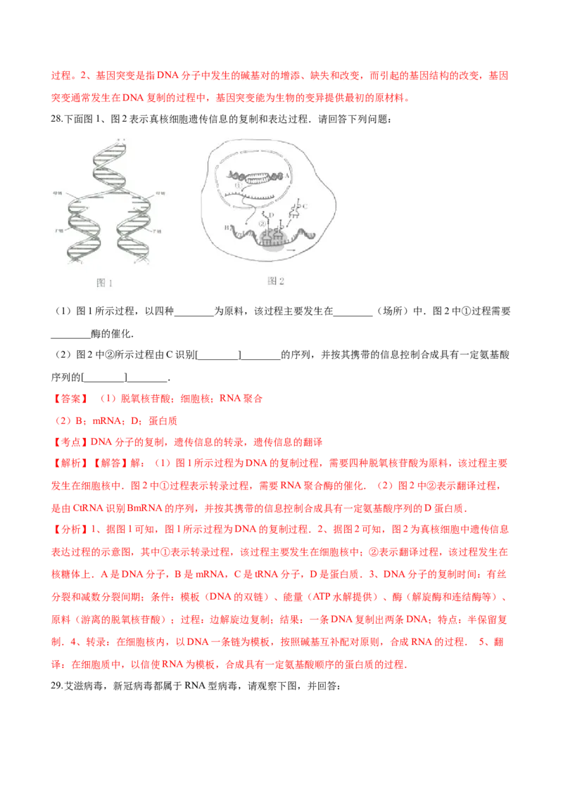 高一生物下学期期中测试卷02（人教版2019选择性必修2）（解析版）_高中九科知识点归纳。_人教版高中Word电子版试卷练习试题知识点全科_高中生物试卷习题_生物必修_必修2