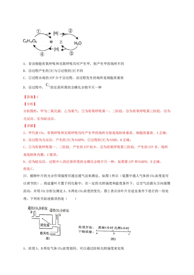高一生物上学期期末测试卷03（人教版必修1）（解析版）_高中九科知识点归纳。_人教版高中Word电子版试卷练习试题知识点全科_高中生物试卷习题_生物必修_必修1_1.模拟题
