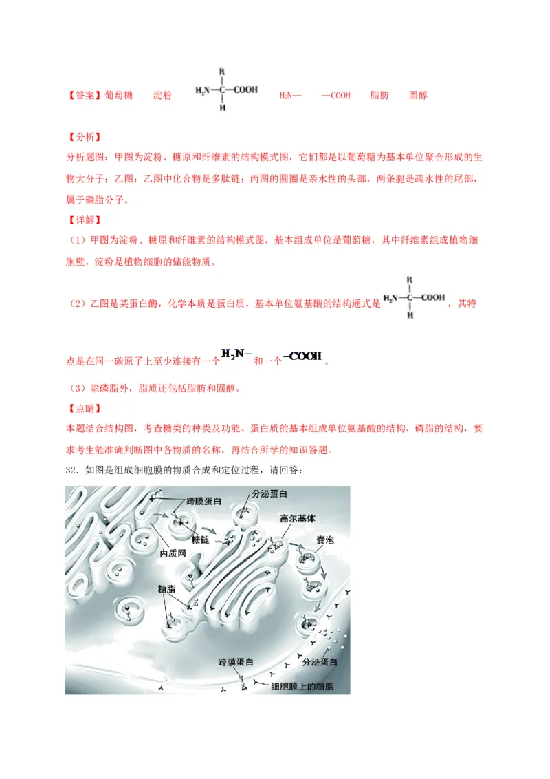 高一生物上学期期末测试卷03（人教版必修1）（解析版）_高中九科知识点归纳。_人教版高中Word电子版试卷练习试题知识点全科_高中生物试卷习题_生物必修_必修1_1.模拟题