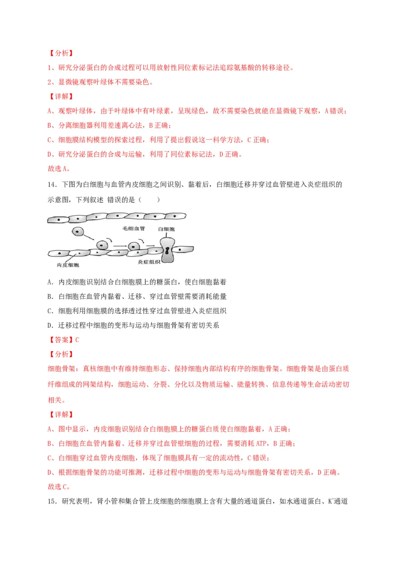 高一生物上学期期末测试卷03（人教版必修1）（解析版）_高中九科知识点归纳。_人教版高中Word电子版试卷练习试题知识点全科_高中生物试卷习题_生物必修_必修1_1.模拟题