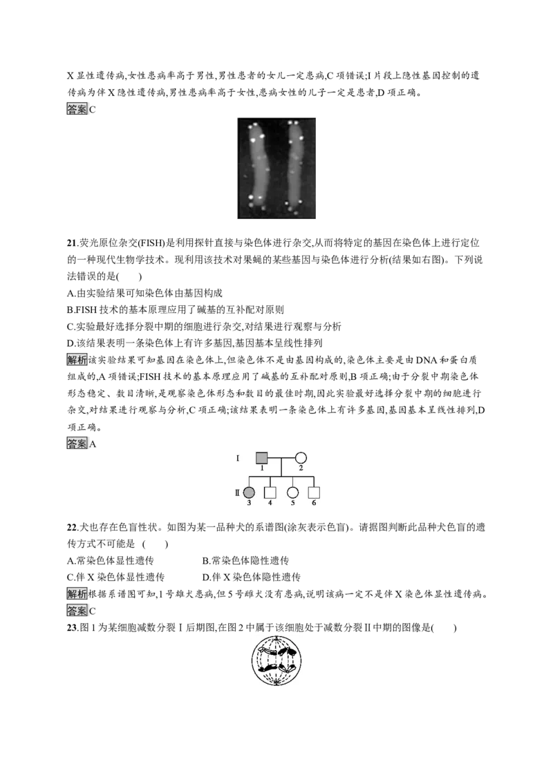 第2章《本章综合与测试》课时练习02_高中九科知识点归纳。_人教版高中Word电子版试卷练习试题知识点全科_高中生物试卷习题_生物必修_必修2_人教版生物必修二单元测试（012份）