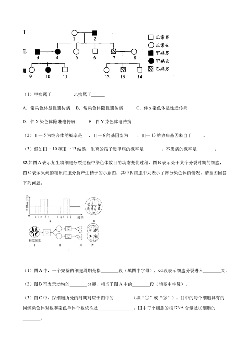高一生物下学期期末测试卷02（新教材必修二）（原卷版）_高中九科知识点归纳。_人教版高中Word电子版试卷练习试题知识点全科_高中生物试卷习题_生物必修_必修2