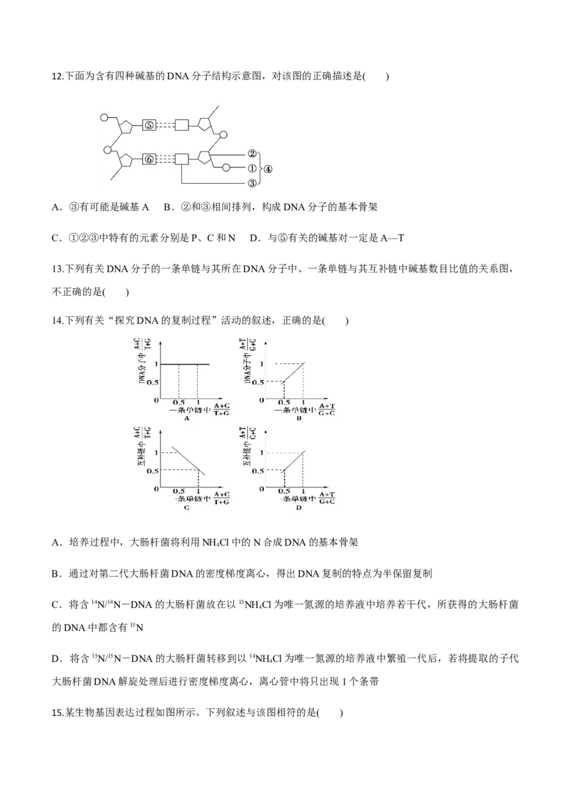 高一生物下学期期末测试卷02（新教材必修二）（原卷版）_高中九科知识点归纳。_人教版高中Word电子版试卷练习试题知识点全科_高中生物试卷习题_生物必修_必修2
