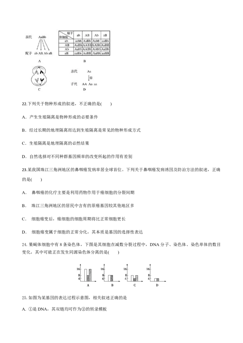 高一生物下学期期末测试卷02（新教材必修二）（原卷版）_高中九科知识点归纳。_人教版高中Word电子版试卷练习试题知识点全科_高中生物试卷习题_生物必修_必修2