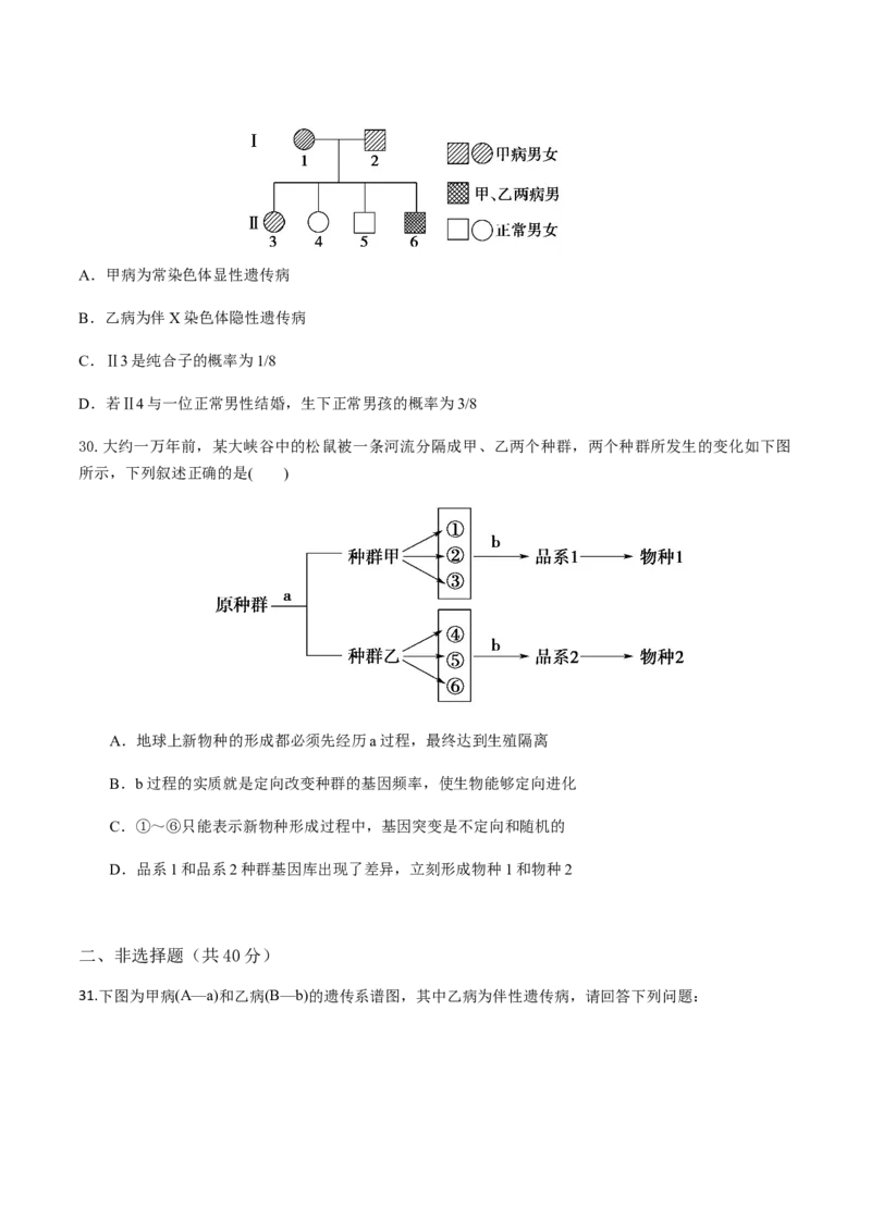 高一生物下学期期末测试卷02（新教材必修二）（原卷版）_高中九科知识点归纳。_人教版高中Word电子版试卷练习试题知识点全科_高中生物试卷习题_生物必修_必修2