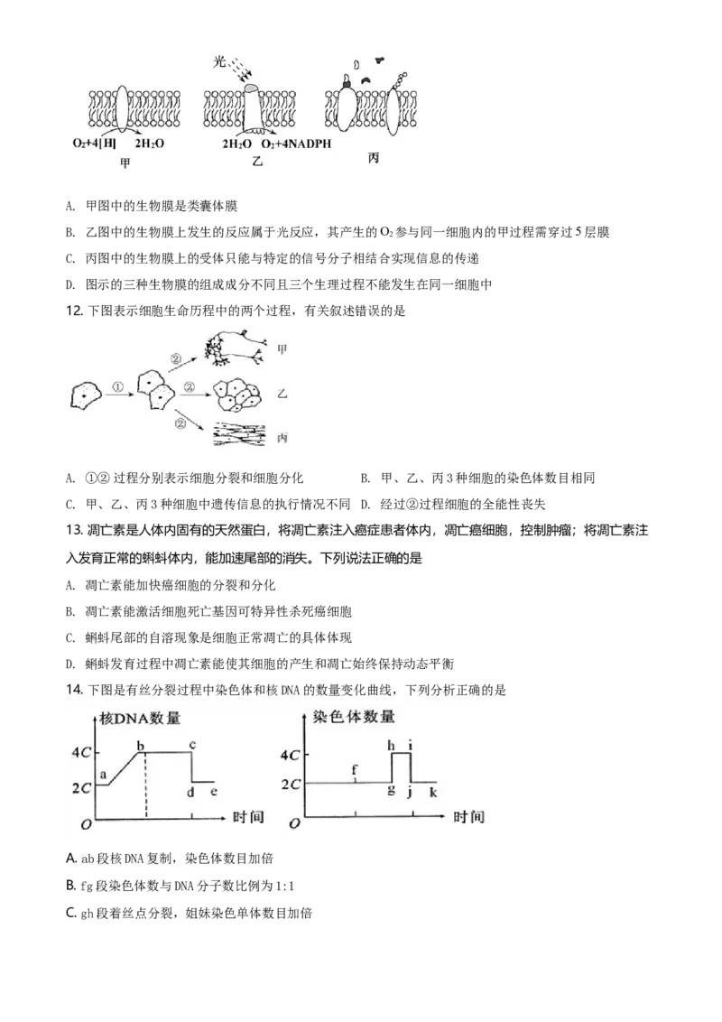 精品解析：江苏省南通市高一上学期期末生物试题（新人教版）（原卷版）_高中九科知识点归纳。_人教版高中Word电子版试卷练习试题知识点全科_高中生物试卷习题_生物必修_必修1