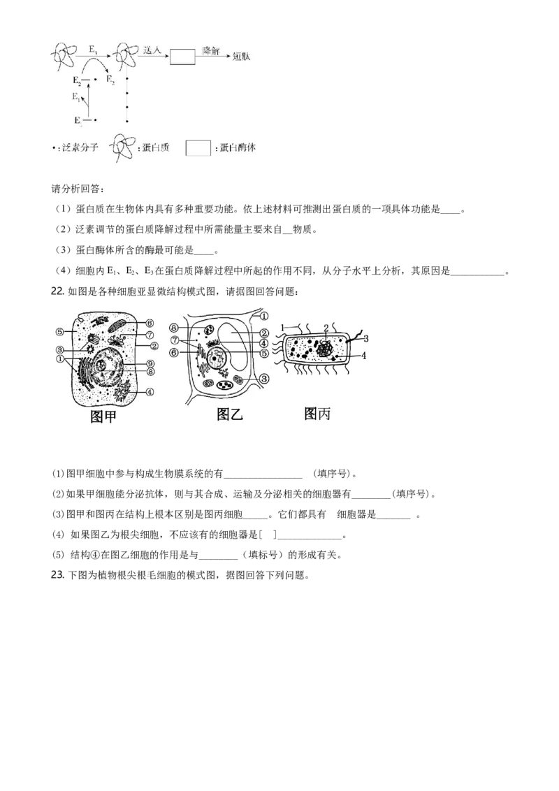 精品解析：江苏省南通市高一上学期期末生物试题（新人教版）（原卷版）_高中九科知识点归纳。_人教版高中Word电子版试卷练习试题知识点全科_高中生物试卷习题_生物必修_必修1