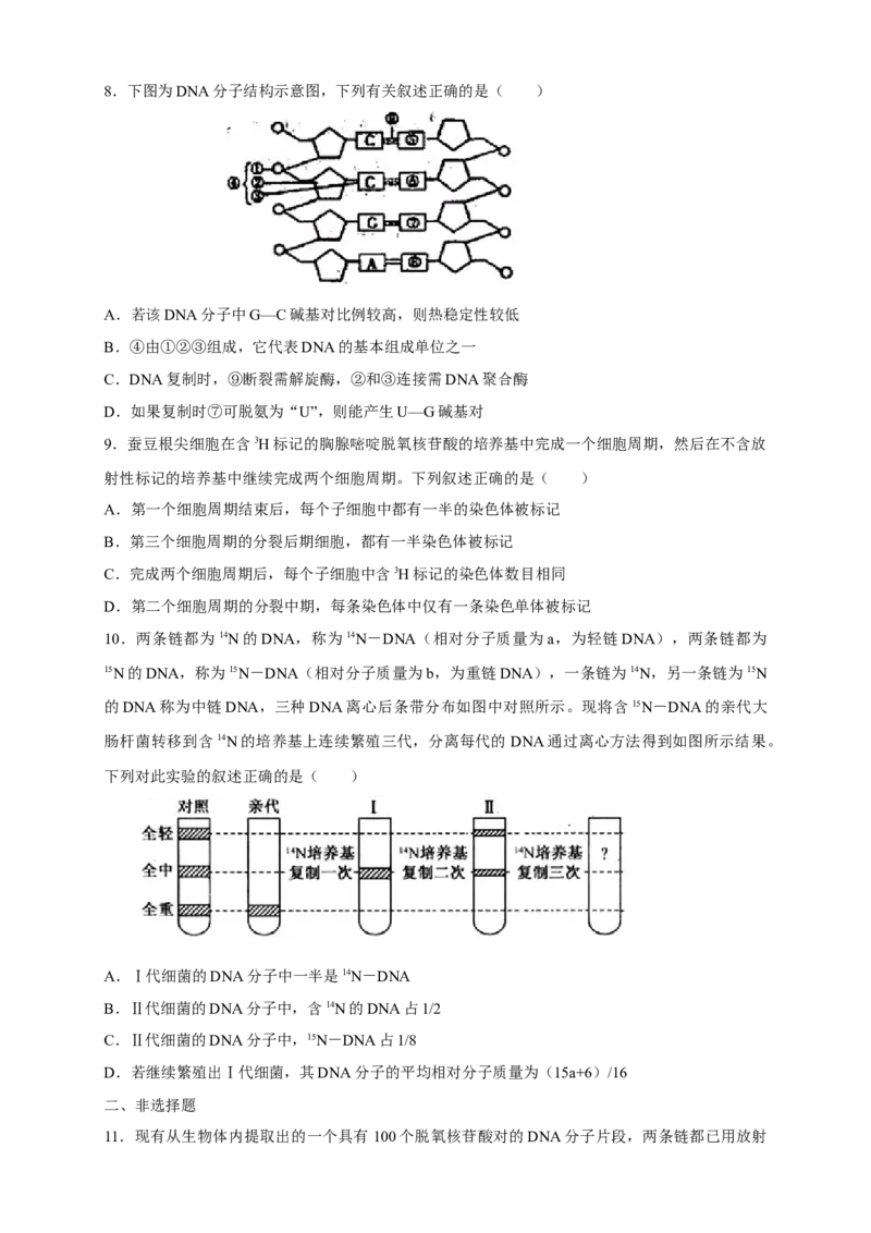 新教材精创3.3DNA的复制练习（2）（原卷版）_高中九科知识点归纳。_人教版高中Word电子版试卷练习试题知识点全科_高中生物试卷习题_生物必修_必修2_1、同步练习