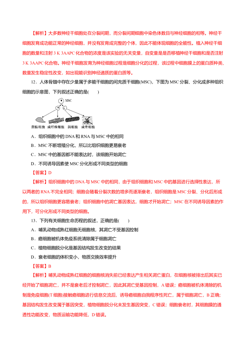 第6章细胞的生命历程B卷（解析版）_高中九科知识点归纳。_人教版高中Word电子版试卷练习试题知识点全科_高中生物试卷习题_生物必修_必修1_人教版生物必修一单元测试（032份）