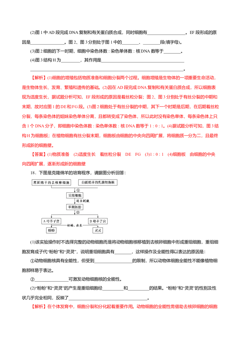 第6章细胞的生命历程B卷（解析版）_高中九科知识点归纳。_人教版高中Word电子版试卷练习试题知识点全科_高中生物试卷习题_生物必修_必修1_人教版生物必修一单元测试（032份）