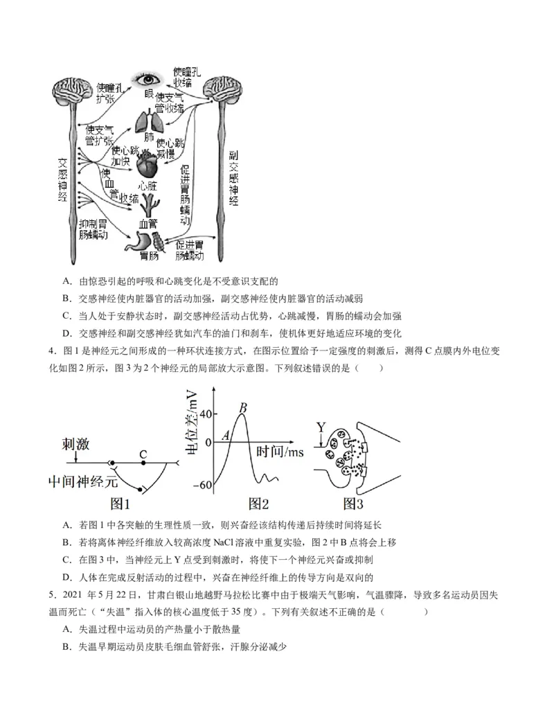 期末模拟卷01（考试版A4版）测试范围：人教版2019选择性必修1+选择性必修2_高中九科知识点归纳。_人教版高中Word电子版试卷练习试题知识点全科_高中生物试卷习题_生物选修_选修1