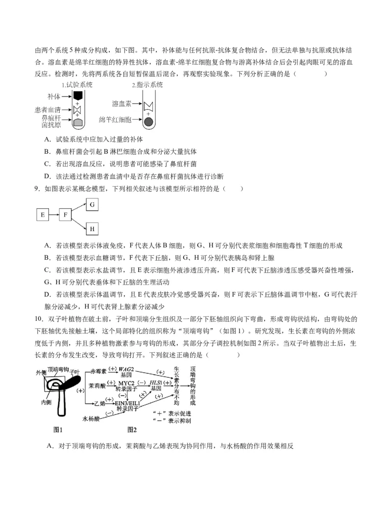 期末模拟卷01（考试版A4版）测试范围：人教版2019选择性必修1+选择性必修2_高中九科知识点归纳。_人教版高中Word电子版试卷练习试题知识点全科_高中生物试卷习题_生物选修_选修1
