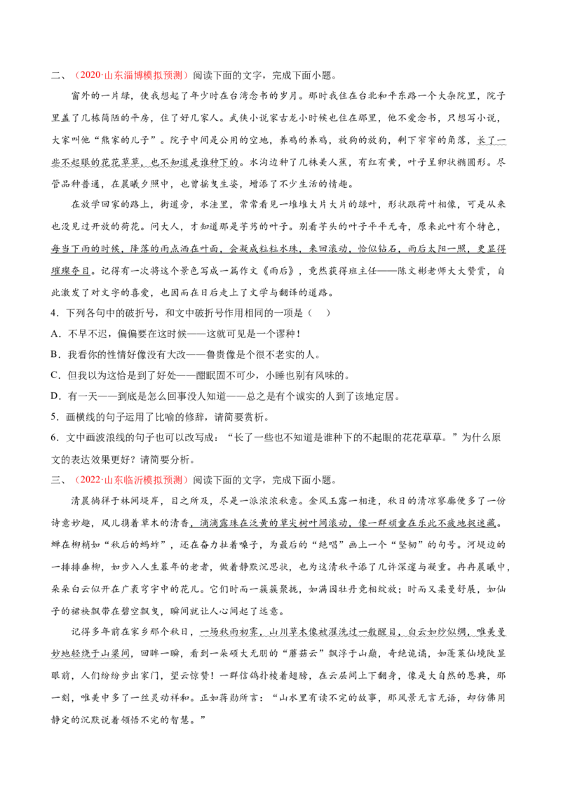 考向07赏析修辞-备战2023年高考语文一轮复习考点微专题（新高考地区专用）（原卷版）_01高考语文_32023年新高考资料_一轮复习