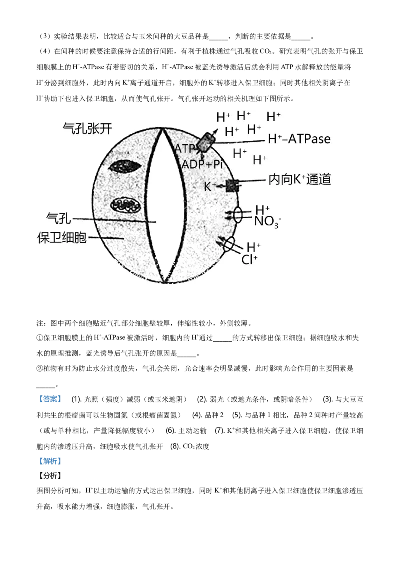 精品解析：山东省烟台市招远一中高一上学期期末生物试题（解析版）_高中九科知识点归纳。_人教版高中Word电子版试卷练习试题知识点全科_高中生物试卷习题_生物必修_必修1_2.各地真题