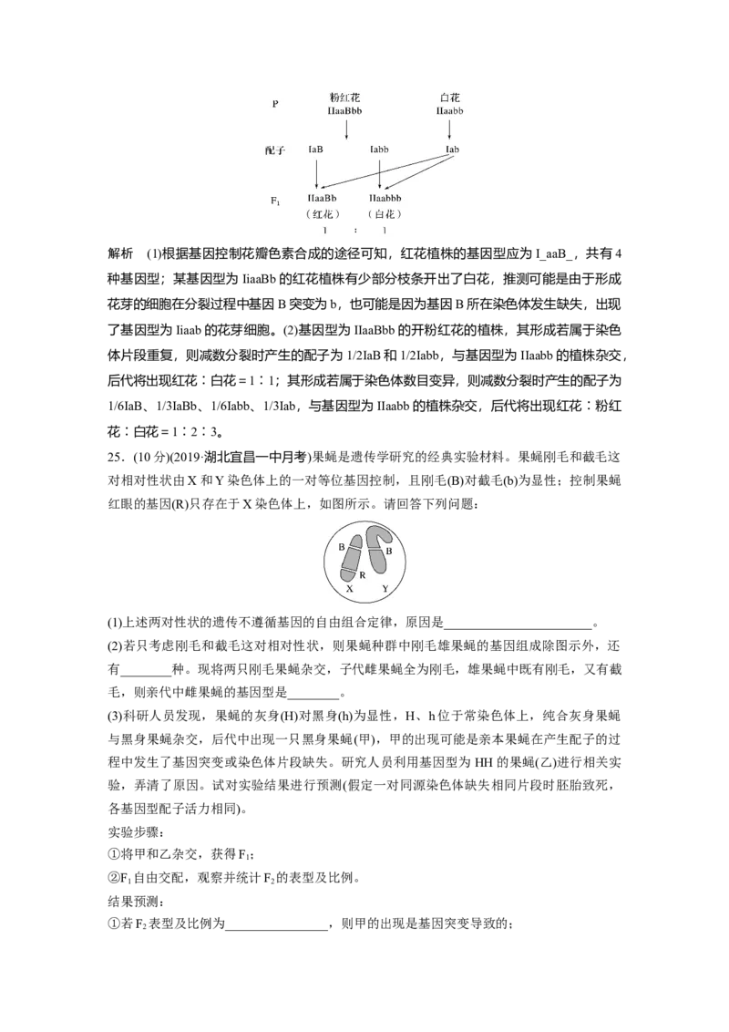 第5章《本章综合与测试》测评_高中九科知识点归纳。_人教版高中Word电子版试卷练习试题知识点全科_高中生物试卷习题_生物必修_必修2_人教版生物必修二单元测试（012份）