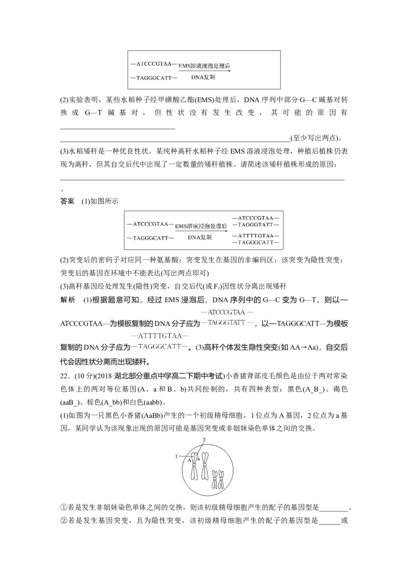 第5章《本章综合与测试》测评_高中九科知识点归纳。_人教版高中Word电子版试卷练习试题知识点全科_高中生物试卷习题_生物必修_必修2_人教版生物必修二单元测试（012份）