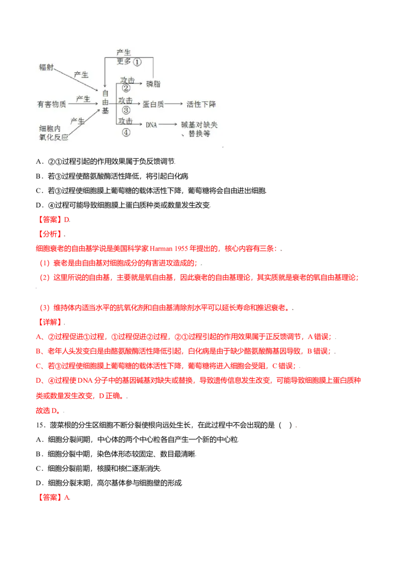 第六章章末测试-高一生物课后培优练（人教版2019必修1）（解析版）_高中九科知识点归纳。_人教版高中Word电子版试卷练习试题知识点全科_高中生物试卷习题_生物必修_必修1
