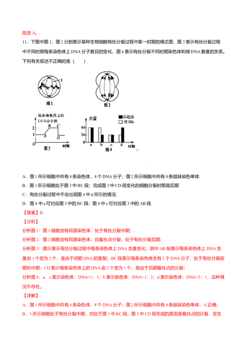 第六章章末测试-高一生物课后培优练（人教版2019必修1）（解析版）_高中九科知识点归纳。_人教版高中Word电子版试卷练习试题知识点全科_高中生物试卷习题_生物必修_必修1