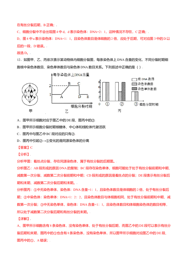 第六章章末测试-高一生物课后培优练（人教版2019必修1）（解析版）_高中九科知识点归纳。_人教版高中Word电子版试卷练习试题知识点全科_高中生物试卷习题_生物必修_必修1