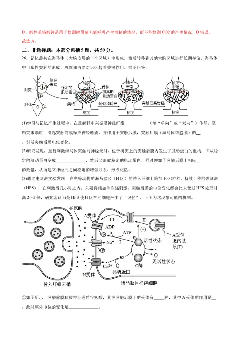 期末模拟卷02（全解全析）（人教版2019）_高中九科知识点归纳。_人教版高中Word电子版试卷练习试题知识点全科_高中生物试卷习题_生物选修_选修1_人教版生物选修一期末试卷（012份）