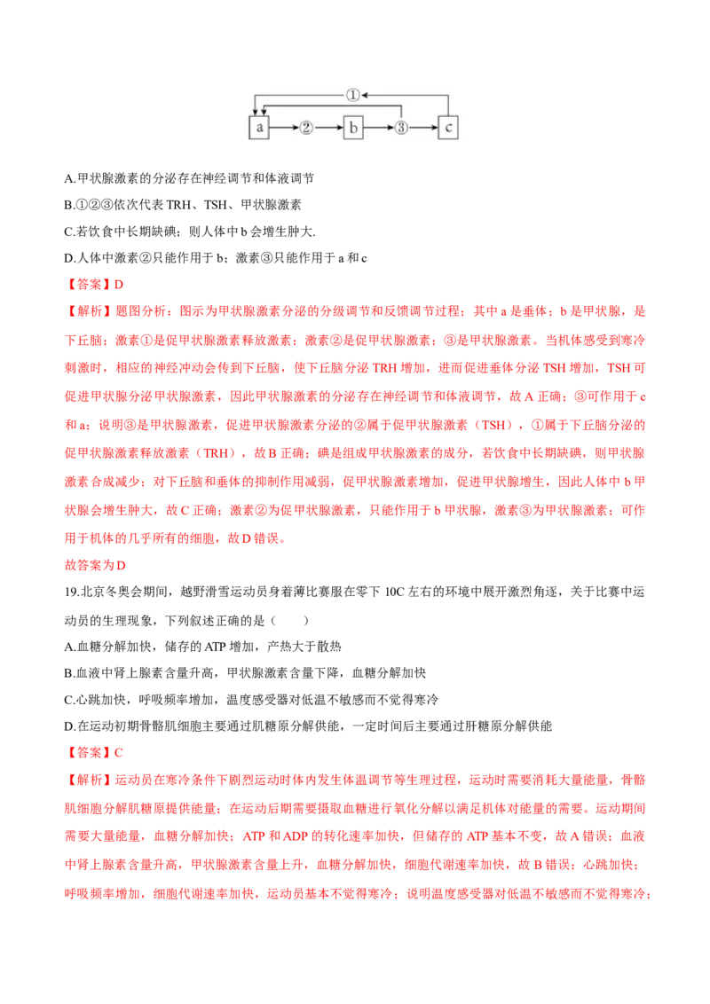 第3章体液调节（测试卷）-高二生物章末检测卷（人教版2019选择性必修1）（解析版）_高中九科知识点归纳。_人教版高中Word电子版试卷练习试题知识点全科_高中生物试卷习题_生物选修