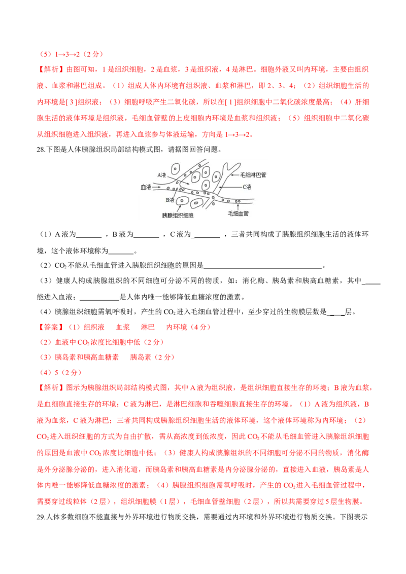 第1章人体的内环境与稳态（测试卷）-高二生物章末检测卷（人教版2019选择性必修1）（解析版）_高中九科知识点归纳。_人教版高中Word电子版试卷练习试题知识点全科_高中生物试卷习题