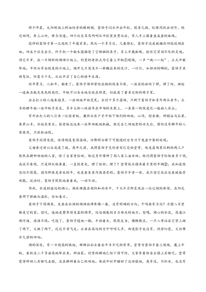 考点巩固卷06内容理解（解析版）_01高考语文_52025年新高考资料_一轮复习_2025年高考语文一轮复习考点通关卷（新高考通用）