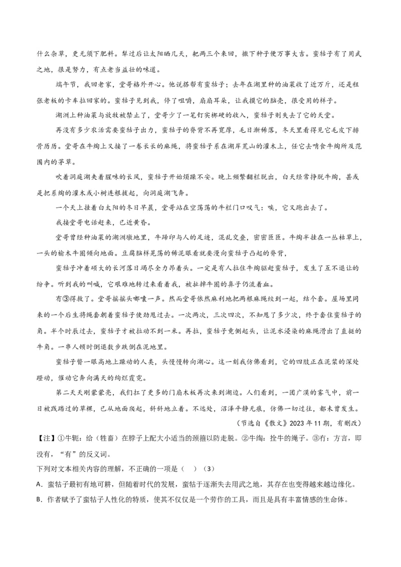 考点巩固卷06内容理解（解析版）_01高考语文_52025年新高考资料_一轮复习_2025年高考语文一轮复习考点通关卷（新高考通用）