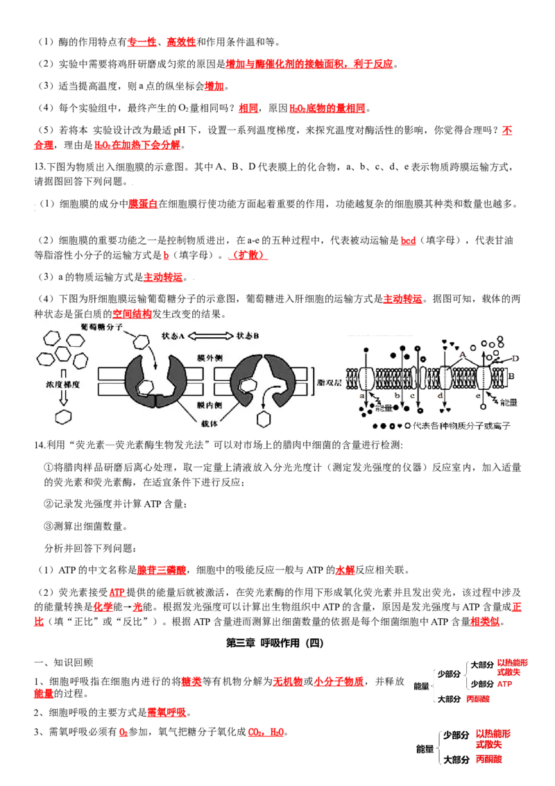 必修一知识点总结高一上学期生物人教版必修1_高中九科知识点归纳。_人教版高中Word电子版试卷练习试题知识点全科_高中生物试卷习题_生物必修_必修1