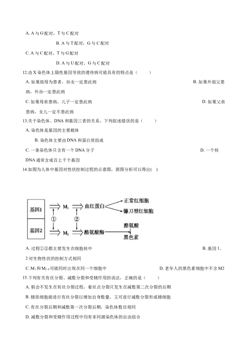高一生物下学期期中测试卷01（人教版2023选择性必修2）（原卷版）_高中九科知识点归纳。_人教版高中Word电子版试卷练习试题知识点全科_高中生物试卷习题_生物必修_必修2
