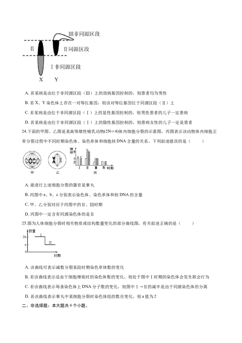 高一生物下学期期中测试卷01（人教版2023选择性必修2）（原卷版）_高中九科知识点归纳。_人教版高中Word电子版试卷练习试题知识点全科_高中生物试卷习题_生物必修_必修2